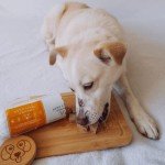 Natural Beef Dog Food Rolls by Pets Love Fresh