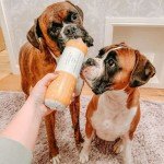 Natural Beef Dog Food Rolls by Pets Love Fresh