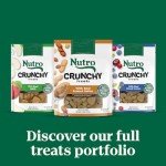 Nutro Crunchy Dog Treats with Mixed Berries
