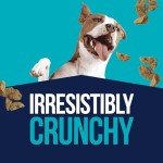 Stewart Chicken Liver Freeze-Dried Dog Treats