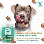 Hip & Joint Chews for Dogs - Peanut Butter 225 Count