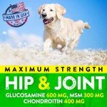 Hemp Joint Support Treats for Dogs - 170 Count