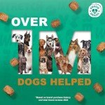 Hip & Joint Chews for Dogs - Peanut Butter 225 Count