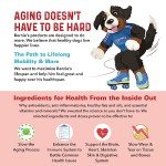 Bernie's Marvelous Mobility Joint Support Chews for Dogs