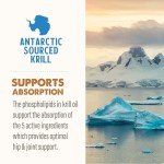 Grizzly Pet Joint Aid Liquid for Dogs - 16oz