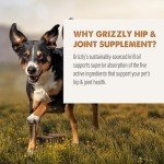 Grizzly Pet Joint Aid Liquid for Dogs - 16oz