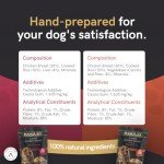 HiLife Wet Dog Food - Chicken & Rice 100g Pack