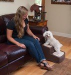 Easy Step II Pet Stairs for Dogs and Cats