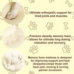 Cool Gel Memory Foam for Dog Beds - 24x36