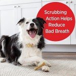 Milk-Bone Original Daily Dental Chews for Dogs