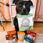 Freeze-Dried Rabbit Dog Treats - All Natural