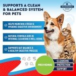 Herbal Intestinal Defense for Dogs & Cats