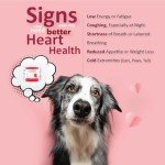 Heart Support Chews for Dogs - 60 Soft Chews