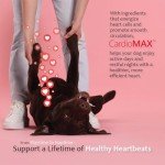 Heart Support Chews for Dogs - 60 Soft Chews