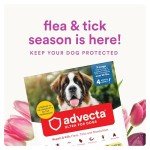 Advecta Ultra Flea and Tick Prevention for Dogs