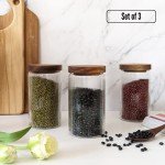 Set of 3 Ribbed Glass Storage Jars for Dogs