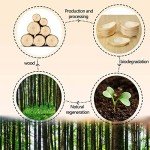 50Pcs Disposable Wooden Food Serving Bowls