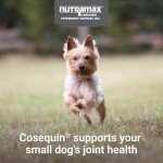 Cosequin Minis Joint Health Chews for Dogs