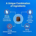 Cosequin Minis Joint Health Chews for Dogs