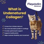 Vetoquinol Flexadin Joint Support Chews for Dogs