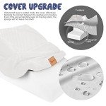 Foam Dog Ramp and Steps - Non-Slip Design