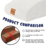 Foam Dog Ramp and Steps - Non-Slip Design