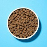 Pooch & Mutt Grain-Free Salmon & Sweet Potato Dog Food