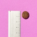 Calm & Relaxed Grain-Free Dog Food, Turkey & Sweet Potato