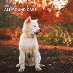 AniForte Barf Dog Food Mix with Fruits & Veggies