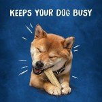 Purina Busy Rawhide Bones for Small to Medium Dogs