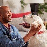 Milk-Bone Peanut Butter Crunchy Dog Treats 7 Lbs