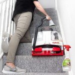 Dog Urine Eliminator Spray - 500 ml