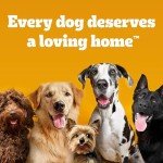 Pedigree Dentastix Large Breed Dog Treats, Fresh