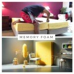 Orthopedic Memory Foam Dog Bed & Cushion 30x30cm