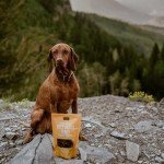 All-Natural Beef Heart Chews for Dogs