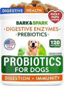 Dog Probiotics for Digestive Health and Allergies