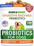 Dog Probiotics for Digestive Health and Allergies