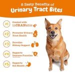 Zesty Paws Cranberry Chews for Dog Health