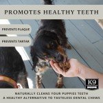 All-Natural Beef Lung Dog Training Treats - 2.5 lbs