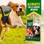 Natural Chicken Jerky Dog Treats - Grain Free 11 OZ