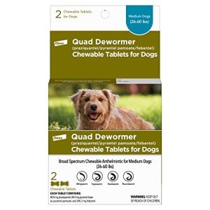 Elanco Quad Dewormer for Medium Dogs, 2 Chews