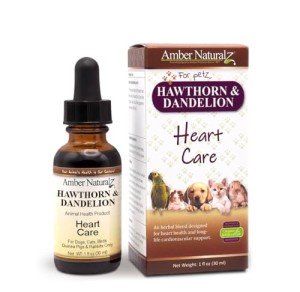 Amber NaturalZ Heart Health Herbal Supplement for Pets