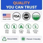 Dog Probiotics for Digestive Health and Allergies