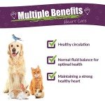 Amber NaturalZ Heart Health Herbal Supplement for Pets