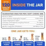 Dog Probiotics for Digestive Health and Allergies