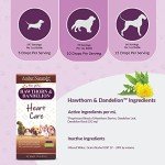 Amber NaturalZ Heart Health Herbal Supplement for Pets