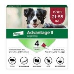 Advantage II Large Dog Flea Treatment 4-Month Supply