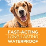 FirstAct Plus Flea Treatment for Large Dogs
