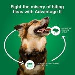 Advantage II Large Dog Flea Treatment 4-Month Supply