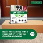Advantage II Large Dog Flea Treatment 4-Month Supply